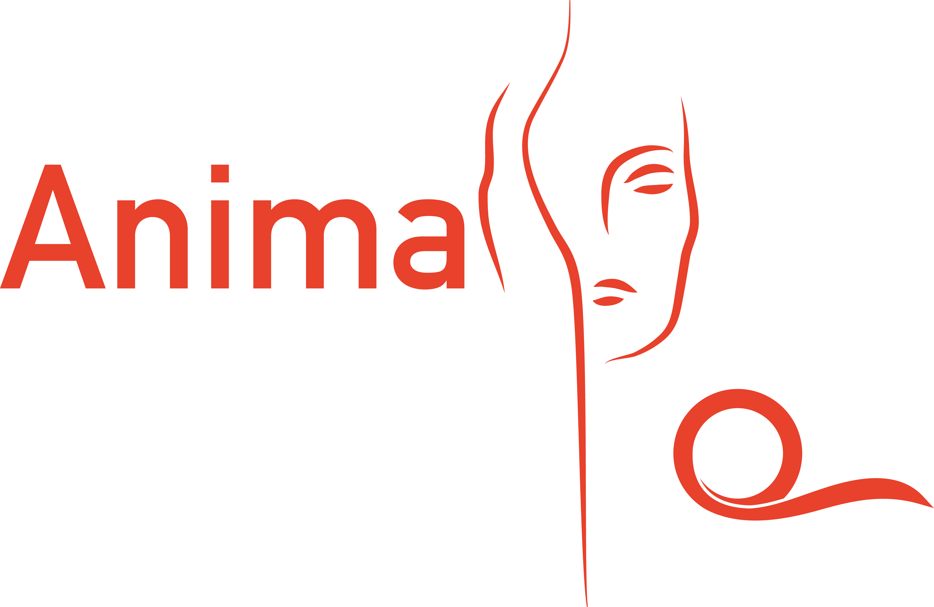 Anima Festival